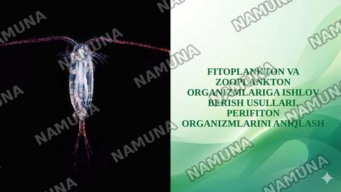 FITOPLANKTON VA ZOOPLANKTON ORGANIZMLARIGA ISHLOV BERISH USULLARI. PERIFITON ORGANIZMLARINI ANIQLASH — taqdimot