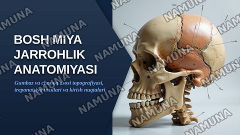 Bosh. Bosh miya qismining jarrohlik anatomiyasi: gumbaz (peshona–tepa–ensa, chakka va so‘rg‘ichsimon soxalar) va bosh chanog‘i asosi (oldingi, o‘rta va orqa chuqurchalar). Boshning miya qismidagi operatsiyalar: bosh chanog‘i jarohatlariga dastlabki jarrohlik ishlovini berish, qon to‘xtatish, trepana — zamonaviy taqdimot