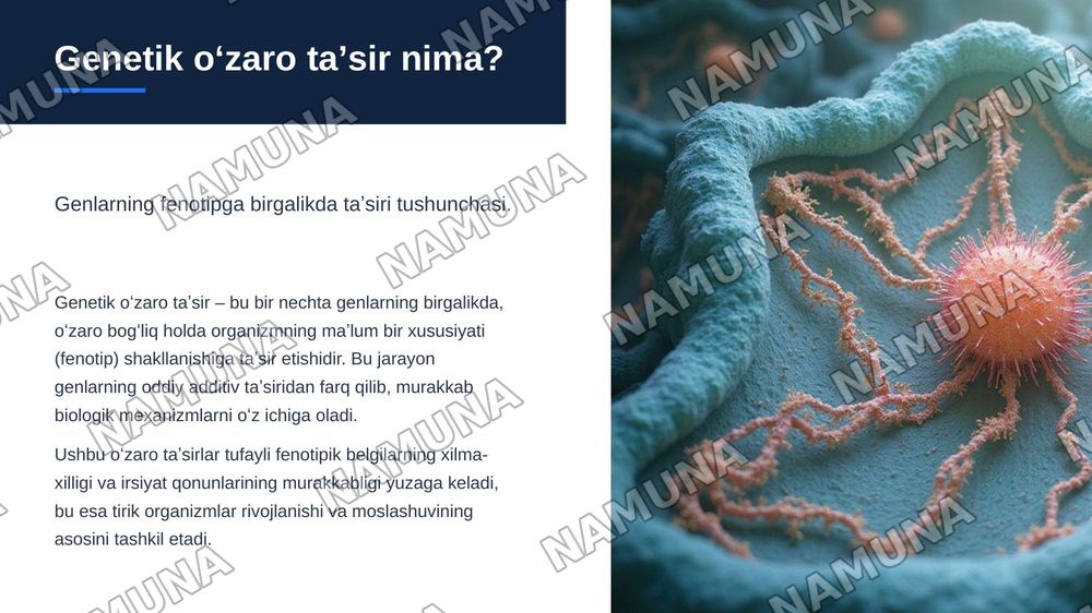 Genlarning oʻzaro tasiri — zamonaviy taqdimot, 3-slayd