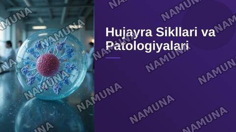 Hujayraning mitotik va hayotiy sikli.Hujayra poliferatsiyasi.Hujayraning meyotik bolinishi.Mitoz va meyoz patologiyasi.   Ohirida hulosa ham bolsin — zamonaviy taqdimot