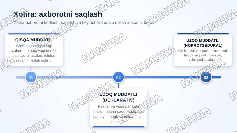 Bilish jarayonlari va ularning ahamiyati — zamonaviy taqdimot, 6-slayd
