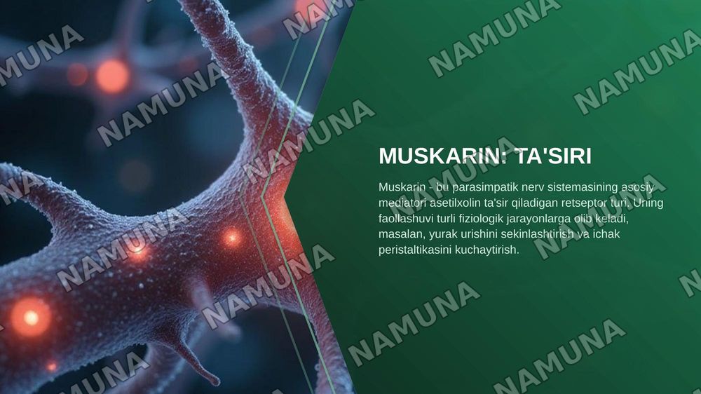 Pilokarpin, aseklidin, muskarin, sitizin peraparatlarining guruhi, ta'sir mehanizmi, tibbiyotda qo'llanishi — zamonaviy taqdimot, 8-slayd