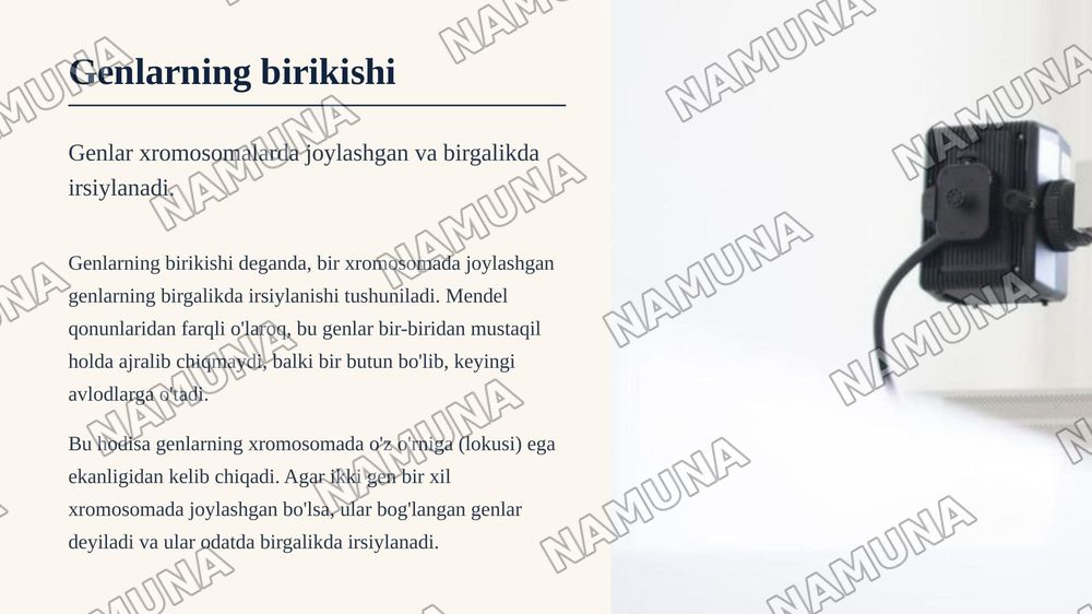 T.G.Morganning irsiyatning xromosoma nazariyasi. Belgilarning jinsga birikkan holda irsiylanishi.
Qisqacha annotatsiya: Xromosomada genlarningjoylashishining roli va avlodlarda genetik ma'lumotlarning uzatilishi. Krossingover, jarayonningmexanizmi va tsitologik asoslari. Genlar, genlarguruhlarining — zamonaviy taqdimot, 5-slayd