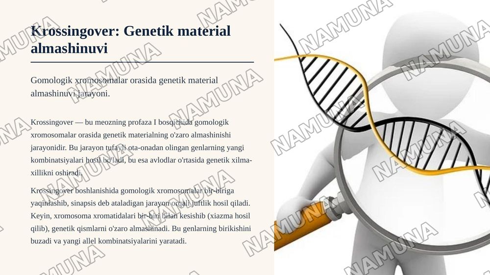 T.G.Morganning irsiyatning xromosoma nazariyasi. Belgilarning jinsga birikkan holda irsiylanishi.
Qisqacha annotatsiya: Xromosomada genlarningjoylashishining roli va avlodlarda genetik ma'lumotlarning uzatilishi. Krossingover, jarayonningmexanizmi va tsitologik asoslari. Genlar, genlarguruhlarining — zamonaviy taqdimot, 8-slayd