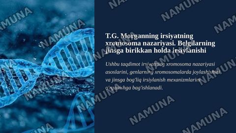 T.G.Morganning irsiyatning xromosoma nazariyasi. Belgilarning jinsga birikkan holda irsiylanishi.
Qisqacha annotatsiya: Xromosomada genlarningjoylashishining roli va avlodlarda genetik ma'lumotlarning uzatilishi. Krossingover, jarayonningmexanizmi va tsitologik asoslari. Genlar, genlarguruhlarining — zamonaviy taqdimot