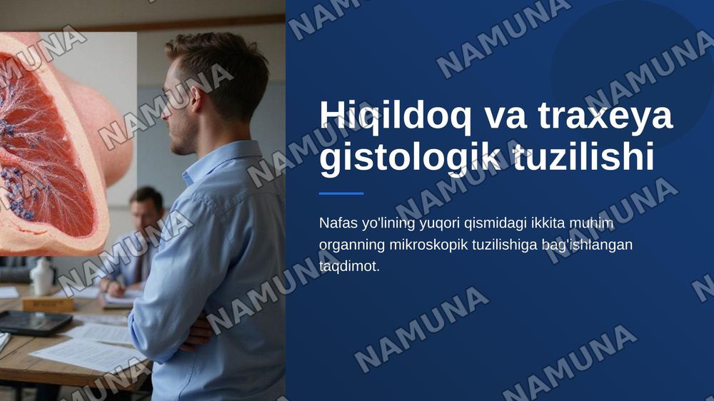 Hiçildoq, traxeya gistologik tuzilishi taçdimot tayyorlash. — zamonaviy taqdimot, 1-slayd