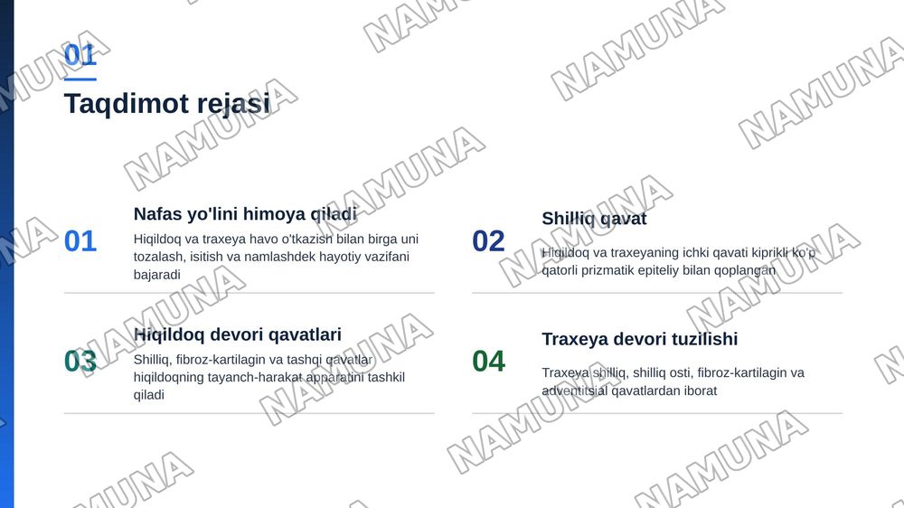Hiçildoq, traxeya gistologik tuzilishi taçdimot tayyorlash. — zamonaviy taqdimot, 2-slayd