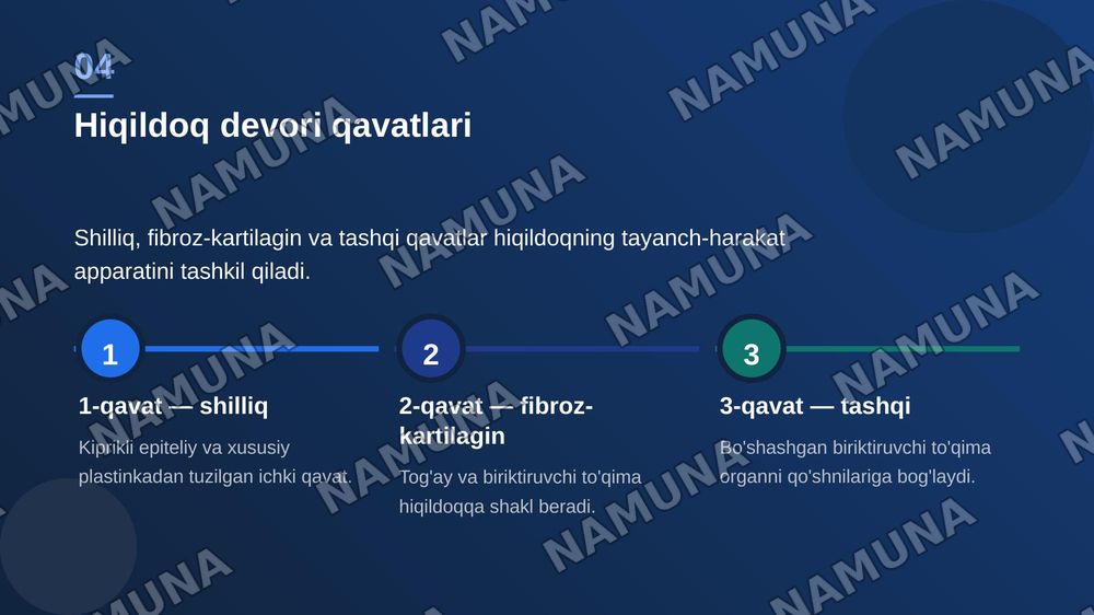 Hiçildoq, traxeya gistologik tuzilishi taçdimot tayyorlash. — zamonaviy taqdimot, 5-slayd