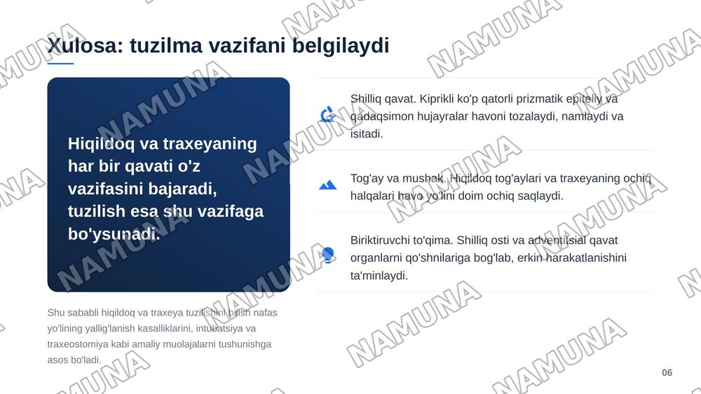 Hiçildoq, traxeya gistologik tuzilishi taçdimot tayyorlash. — zamonaviy taqdimot, 7-slayd