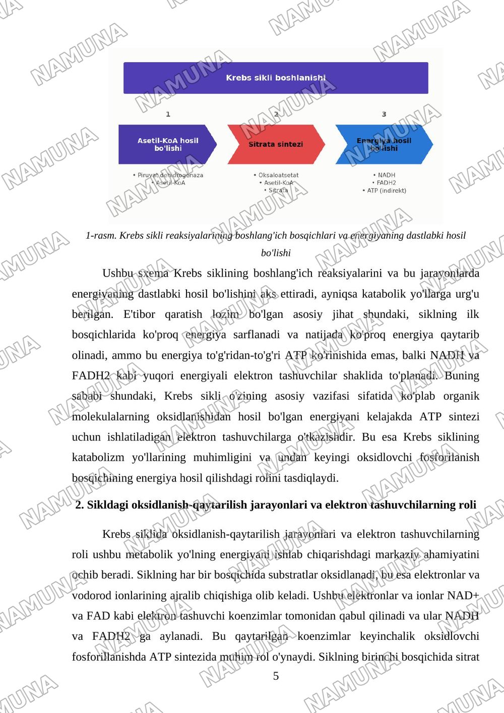 Krebs sikli katabalizm yo’llari — referat, 5-varaq