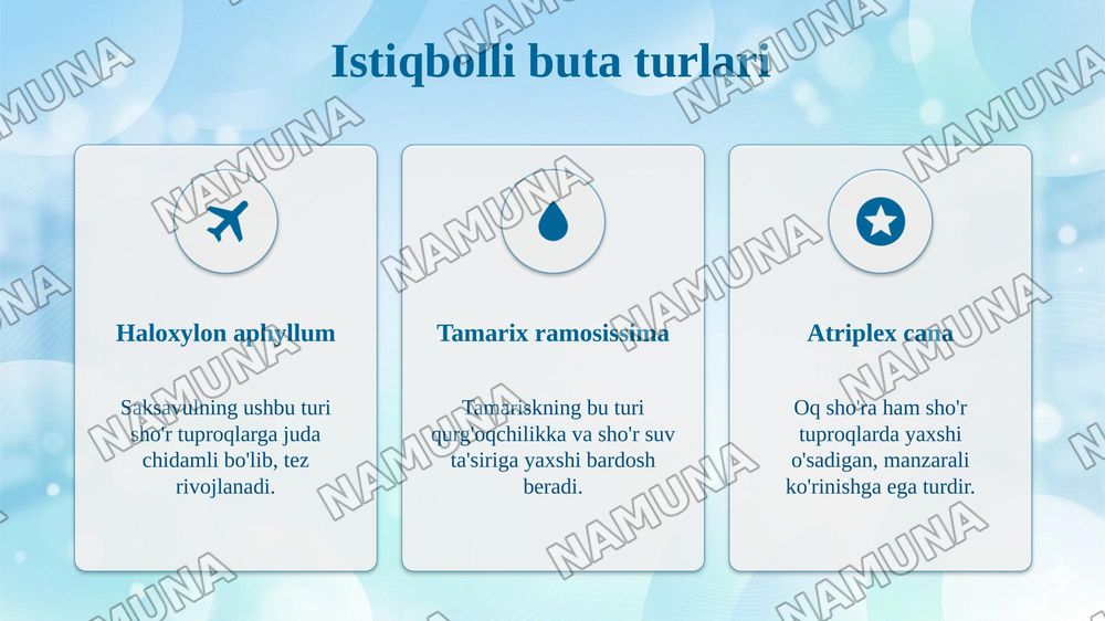 Qarshi vohasining sho'rlangan va qurg'oqchil tuproqlariga chidamli istiqbolli introdusent manzarali butalarni saralash va ko'paytirish texnologiyasi — taqdimot, 6-slayd