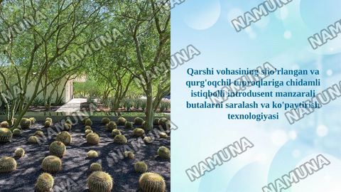 Qarshi vohasining sho'rlangan va qurg'oqchil tuproqlariga chidamli istiqbolli introdusent manzarali butalarni saralash va ko'paytirish texnologiyasi — taqdimot