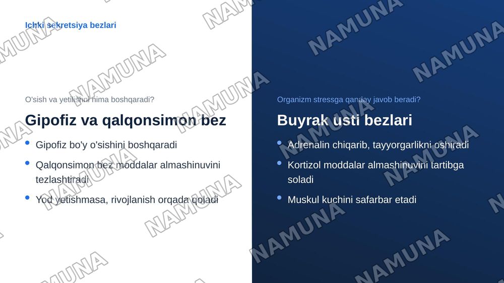 Asab sistemasi sezgi azolari ichki sekretsiya bezlari teri suyak muskul sistemasining AFX
OBK
1bolalar asab sistemasining tuzilishi,fuksiyalarini haqida tushuncha.
2.bolalarni har tomonlama parvariash qilishda feldsherning roli.
3.bolaning nutuq va eshitish qobliyatini rivojlantirish bosqichlari.
4. — zamonaviy taqdimot, 7-slayd