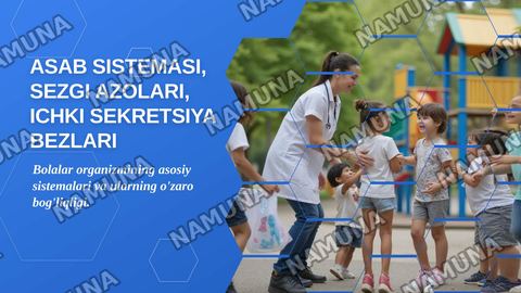Asab sistemasi sezgi azolari ichki sekretsiya bezlari teri suyak muskul sistemasining AFX
OBK
1bolalar asab sistemasining tuzilishi,fuksiyalarini haqida tushuncha.
2.bolalarni har tomonlama parvariash qilishda feldsherning roli.
3.bolaning nutuq va eshitish qobliyatini rivojlantirish bosqichlari.
4. — zamonaviy taqdimot
