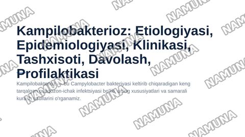 Kampilobakterioz. Etiologiyasi, epidemiologiyasi, klinikasi, tashxisoti, davolash, profilaktikasi. — zamonaviy taqdimot