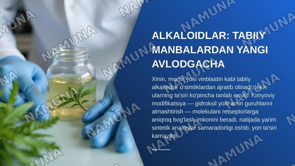 Alkaloidlar va antibiotiklarning yangi avlodlari — zamonaviy taqdimot, 4-slayd