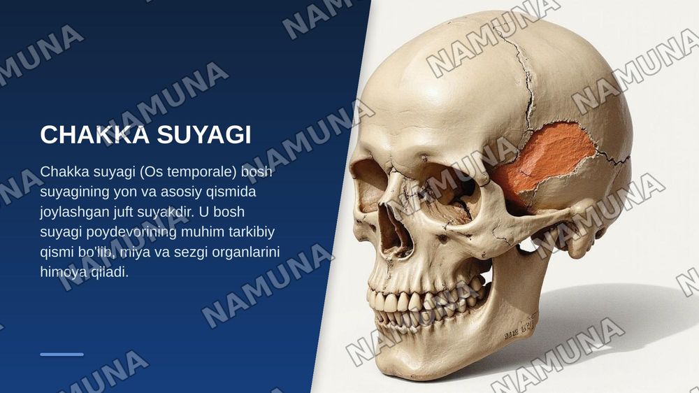 Chakka suyagi — zamonaviy taqdimot, 3-slayd