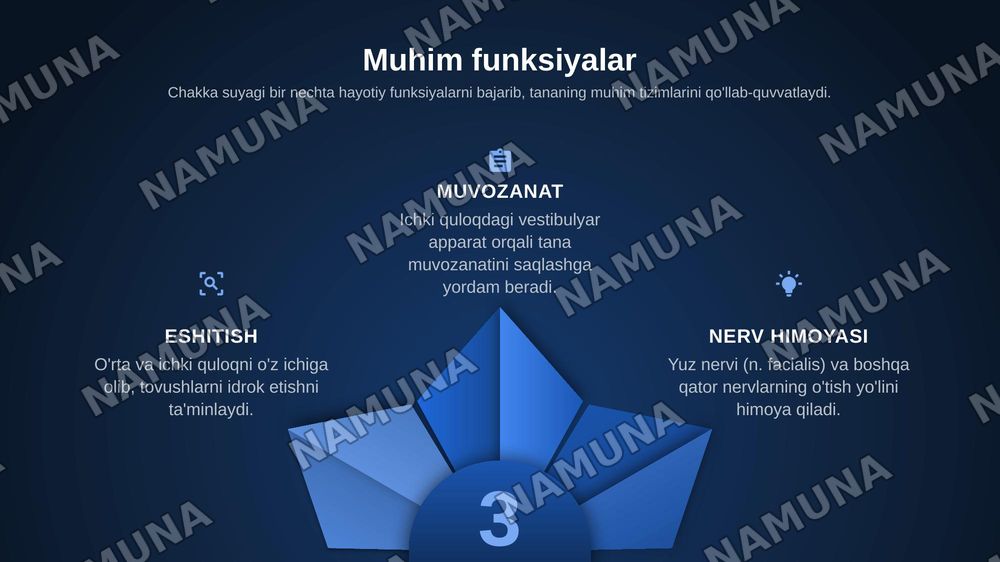 Chakka suyagi — zamonaviy taqdimot, 5-slayd