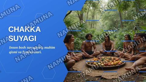 Chakka suyagi — zamonaviy taqdimot