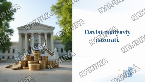 Davlat moliyaviy nazorati. — taqdimot