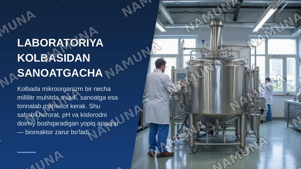 Bioreaktrlar klassifikatsiyasi va ishlash prinsipi — zamonaviy taqdimot, 3-slayd
