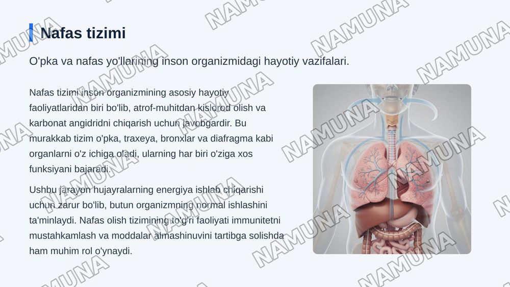 Nafas a'zolari faoliyatiga ta'sir etuvchi vositalar — zamonaviy taqdimot, 3-slayd