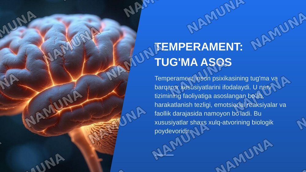 Shaxsning individual-psixologik xususiyatlari. Temperament va xarakter tushunchalari. — zamonaviy taqdimot, 4-slayd