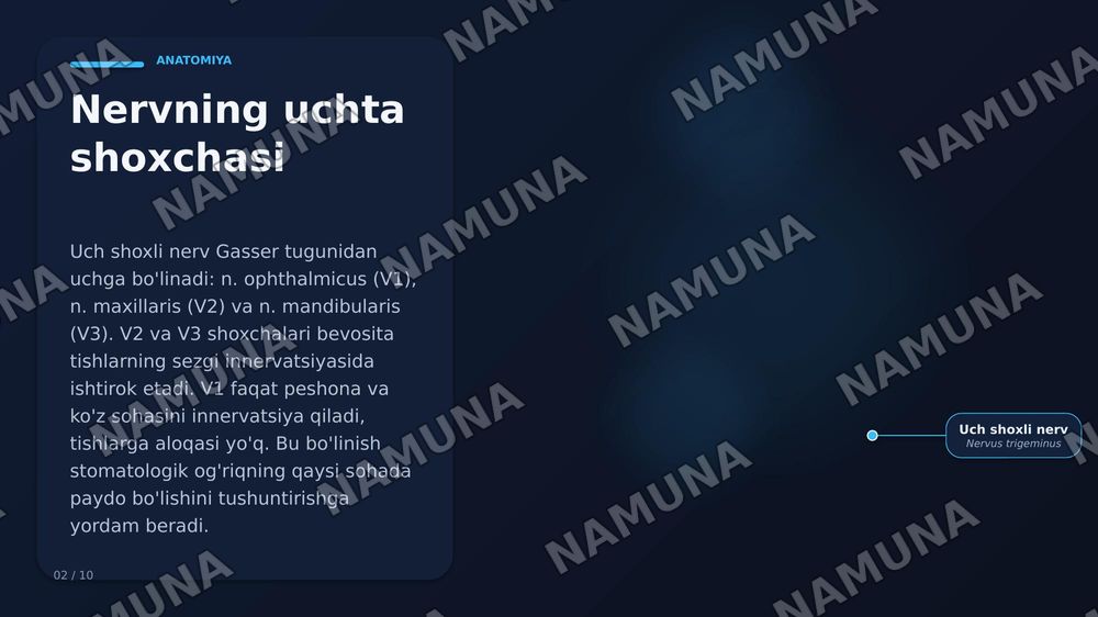 3 shoxli nervning yalliglanishini tishlarga tasiri — zamonaviy taqdimot, 3-slayd