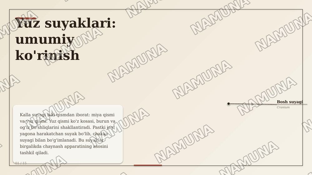 Kallaning YUZ QISMI SUYAKLARI VA TOPOGRAFIK TUZILMALARI. KALLANING YUZ QISMI SUYAKLARINING TUZILISHI VA OʻZARO JOYLASHUVI KOʻZ KOSASI, BURUNVA OGʻIZ BO'SHLIQLARINING
ANATOMIYASI. CHAKKA, CHAKKAOSTI VA QANOT-TANGLAY CHUQURCHALARI, ULARNING
DEVORLARI VA OʻZARO ALOQALARI. BURUN
YONDOSH BO'SHLIQLARIN — zamonaviy taqdimot, 1-slayd