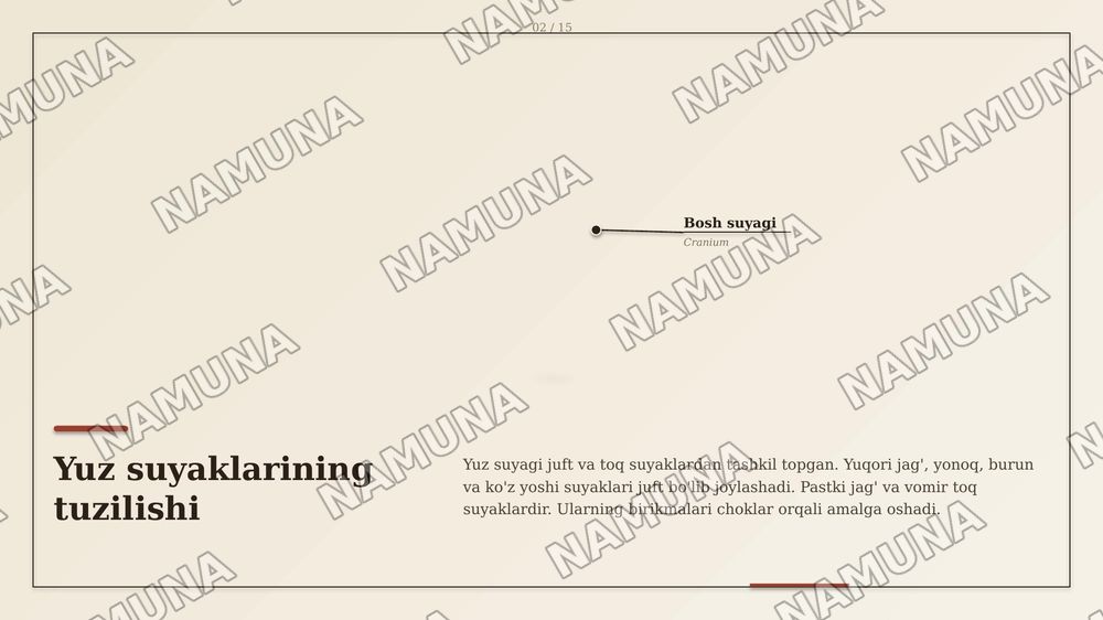 Kallaning YUZ QISMI SUYAKLARI VA TOPOGRAFIK TUZILMALARI. KALLANING YUZ QISMI SUYAKLARINING TUZILISHI VA OʻZARO JOYLASHUVI KOʻZ KOSASI, BURUNVA OGʻIZ BO'SHLIQLARINING
ANATOMIYASI. CHAKKA, CHAKKAOSTI VA QANOT-TANGLAY CHUQURCHALARI, ULARNING
DEVORLARI VA OʻZARO ALOQALARI. BURUN
YONDOSH BO'SHLIQLARIN — zamonaviy taqdimot, 2-slayd