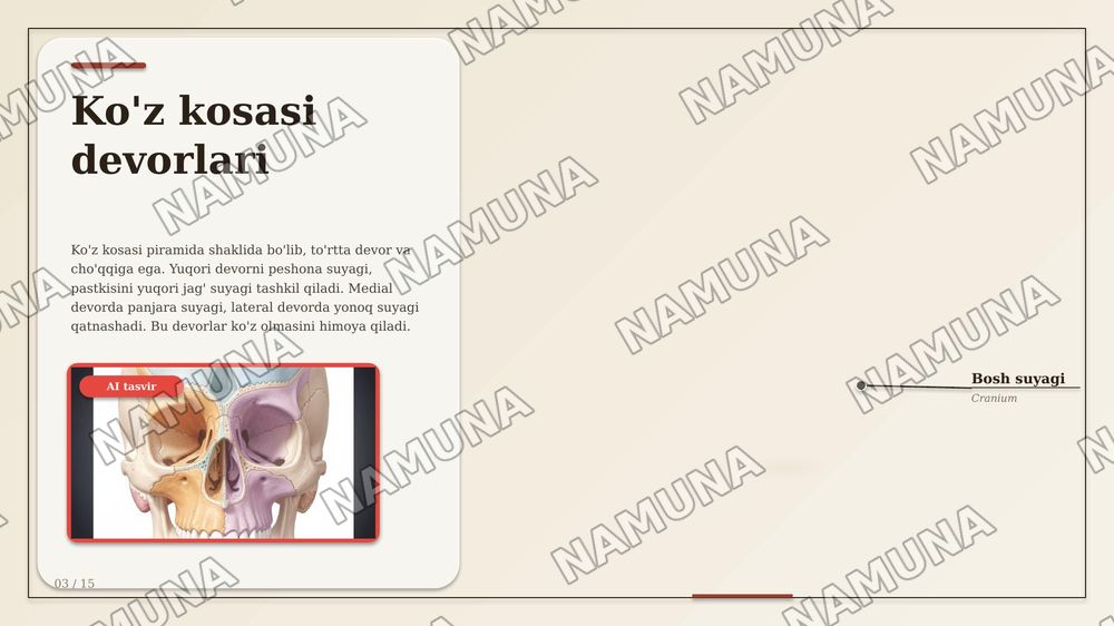 Kallaning YUZ QISMI SUYAKLARI VA TOPOGRAFIK TUZILMALARI. KALLANING YUZ QISMI SUYAKLARINING TUZILISHI VA OʻZARO JOYLASHUVI KOʻZ KOSASI, BURUNVA OGʻIZ BO'SHLIQLARINING
ANATOMIYASI. CHAKKA, CHAKKAOSTI VA QANOT-TANGLAY CHUQURCHALARI, ULARNING
DEVORLARI VA OʻZARO ALOQALARI. BURUN
YONDOSH BO'SHLIQLARIN — zamonaviy taqdimot, 3-slayd