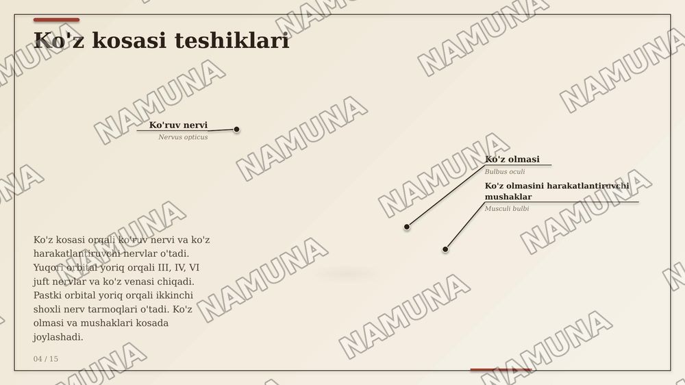 Kallaning YUZ QISMI SUYAKLARI VA TOPOGRAFIK TUZILMALARI. KALLANING YUZ QISMI SUYAKLARINING TUZILISHI VA OʻZARO JOYLASHUVI KOʻZ KOSASI, BURUNVA OGʻIZ BO'SHLIQLARINING
ANATOMIYASI. CHAKKA, CHAKKAOSTI VA QANOT-TANGLAY CHUQURCHALARI, ULARNING
DEVORLARI VA OʻZARO ALOQALARI. BURUN
YONDOSH BO'SHLIQLARIN — zamonaviy taqdimot, 4-slayd