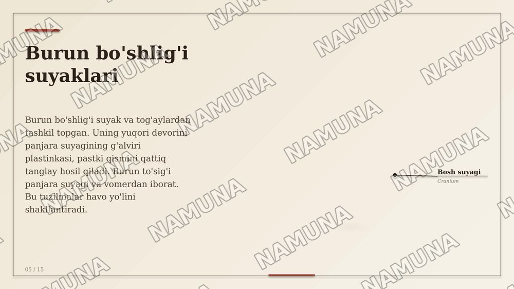 Kallaning YUZ QISMI SUYAKLARI VA TOPOGRAFIK TUZILMALARI. KALLANING YUZ QISMI SUYAKLARINING TUZILISHI VA OʻZARO JOYLASHUVI KOʻZ KOSASI, BURUNVA OGʻIZ BO'SHLIQLARINING
ANATOMIYASI. CHAKKA, CHAKKAOSTI VA QANOT-TANGLAY CHUQURCHALARI, ULARNING
DEVORLARI VA OʻZARO ALOQALARI. BURUN
YONDOSH BO'SHLIQLARIN — zamonaviy taqdimot, 5-slayd