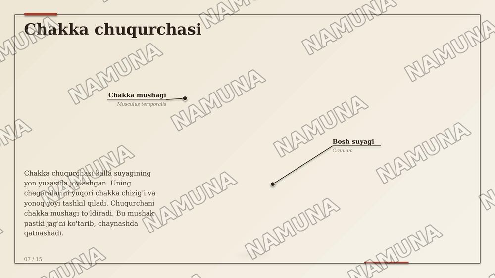 Kallaning YUZ QISMI SUYAKLARI VA TOPOGRAFIK TUZILMALARI. KALLANING YUZ QISMI SUYAKLARINING TUZILISHI VA OʻZARO JOYLASHUVI KOʻZ KOSASI, BURUNVA OGʻIZ BO'SHLIQLARINING
ANATOMIYASI. CHAKKA, CHAKKAOSTI VA QANOT-TANGLAY CHUQURCHALARI, ULARNING
DEVORLARI VA OʻZARO ALOQALARI. BURUN
YONDOSH BO'SHLIQLARIN — zamonaviy taqdimot, 7-slayd