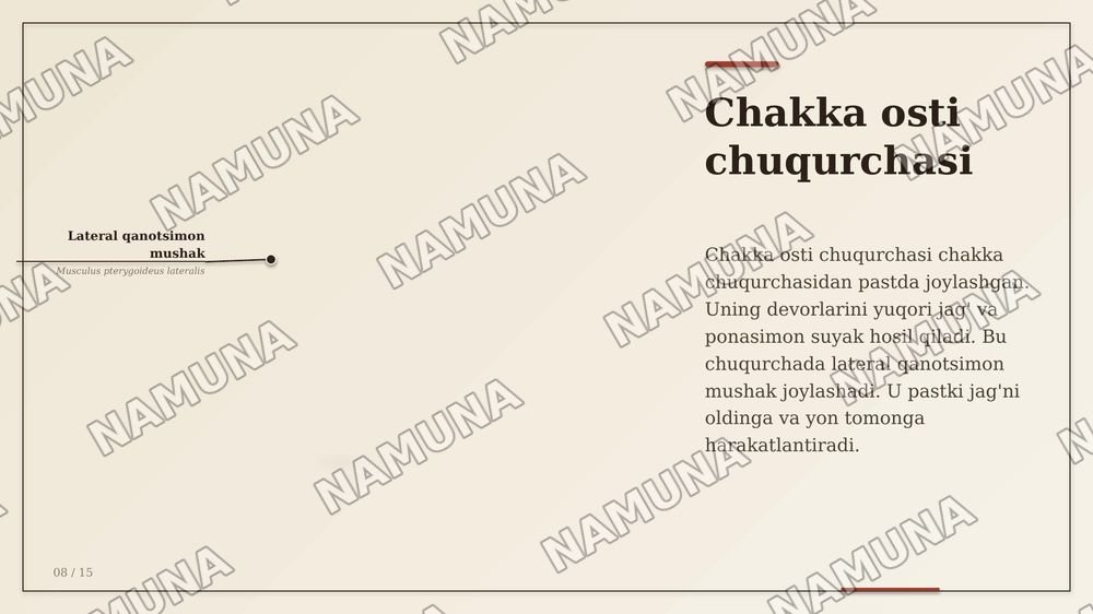 Kallaning YUZ QISMI SUYAKLARI VA TOPOGRAFIK TUZILMALARI. KALLANING YUZ QISMI SUYAKLARINING TUZILISHI VA OʻZARO JOYLASHUVI KOʻZ KOSASI, BURUNVA OGʻIZ BO'SHLIQLARINING
ANATOMIYASI. CHAKKA, CHAKKAOSTI VA QANOT-TANGLAY CHUQURCHALARI, ULARNING
DEVORLARI VA OʻZARO ALOQALARI. BURUN
YONDOSH BO'SHLIQLARIN — zamonaviy taqdimot, 8-slayd