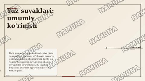 Kallaning YUZ QISMI SUYAKLARI VA TOPOGRAFIK TUZILMALARI. KALLANING YUZ QISMI SUYAKLARINING TUZILISHI VA OʻZARO JOYLASHUVI KOʻZ KOSASI, BURUNVA OGʻIZ BO'SHLIQLARINING
ANATOMIYASI. CHAKKA, CHAKKAOSTI VA QANOT-TANGLAY CHUQURCHALARI, ULARNING
DEVORLARI VA OʻZARO ALOQALARI. BURUN
YONDOSH BO'SHLIQLARIN — zamonaviy taqdimot
