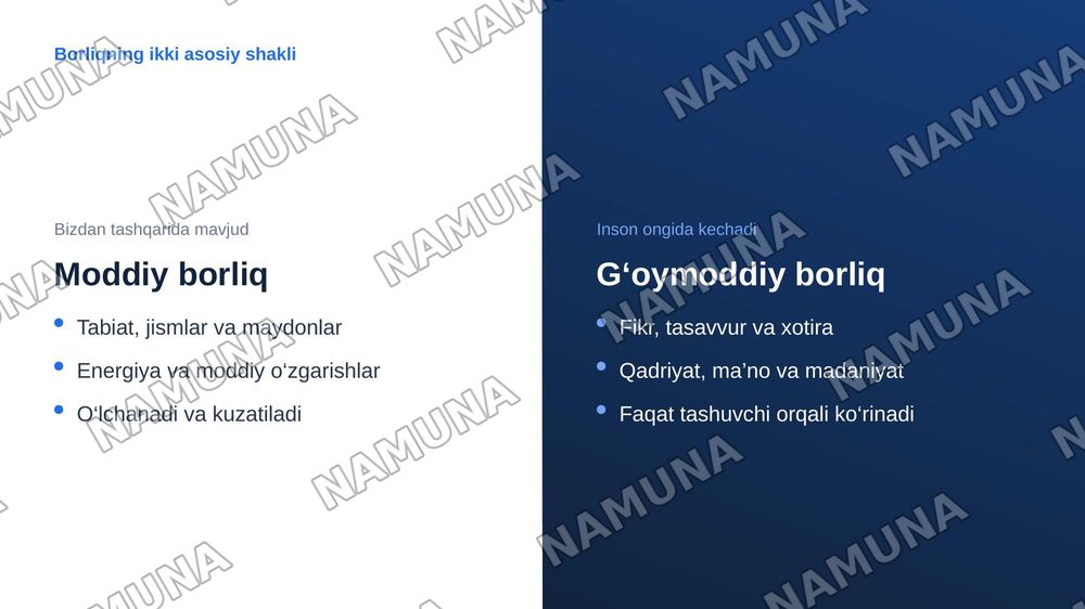 Borliq va uning mavjudlik shakllari. — zamonaviy taqdimot, 4-slayd