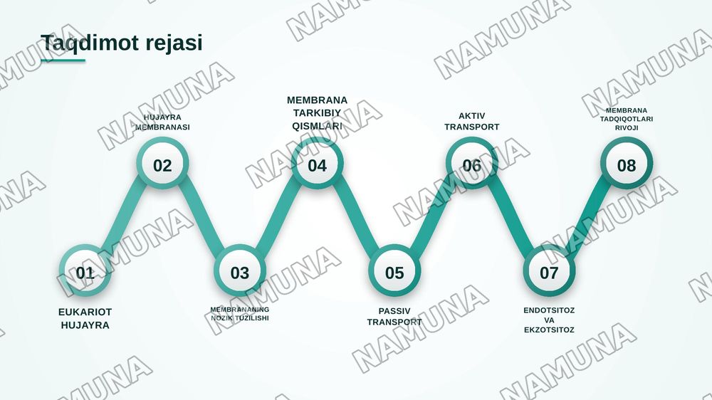 Eukariot hujayraning ultrasturukturaviy tuzilishi.Hujayra menbranasi uning nozik tuzilishi va hujayraga moddalarning kirishi — zamonaviy taqdimot, 2-slayd
