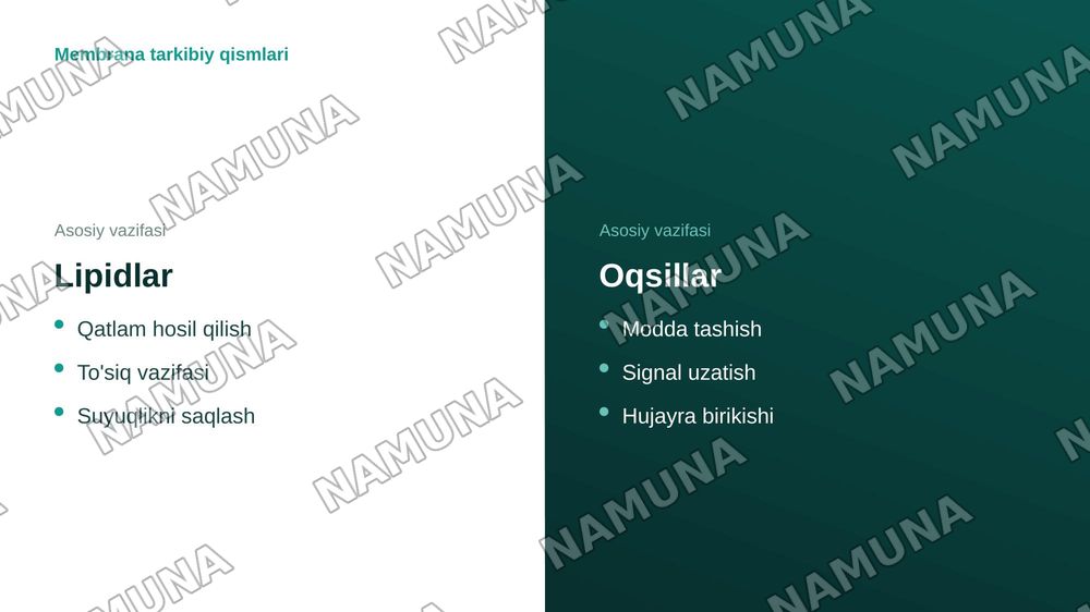 Eukariot hujayraning ultrasturukturaviy tuzilishi.Hujayra menbranasi uning nozik tuzilishi va hujayraga moddalarning kirishi — zamonaviy taqdimot, 6-slayd