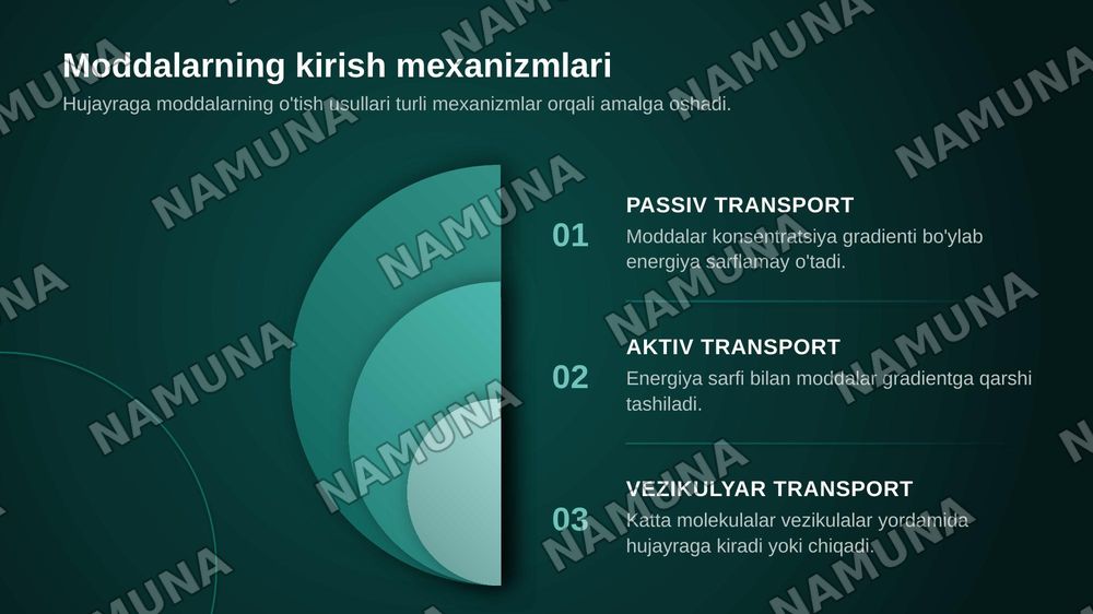 Eukariot hujayraning ultrasturukturaviy tuzilishi.Hujayra menbranasi uning nozik tuzilishi va hujayraga moddalarning kirishi — zamonaviy taqdimot, 7-slayd