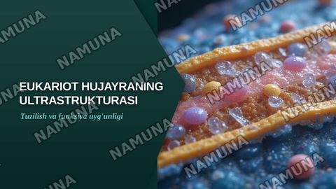Eukariot hujayraning ultrasturukturaviy tuzilishi.Hujayra menbranasi uning nozik tuzilishi va hujayraga moddalarning kirishi — zamonaviy taqdimot