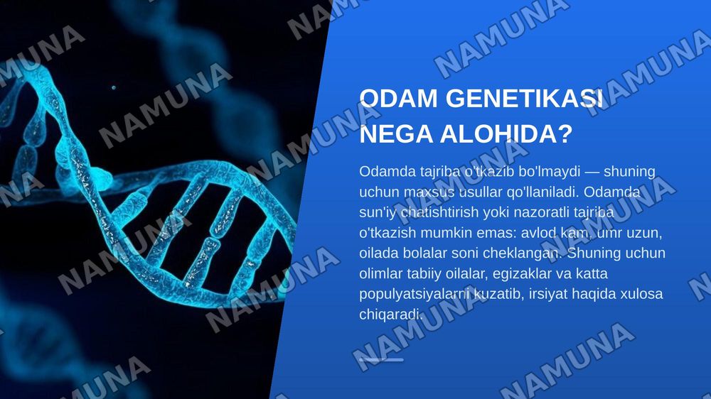 Odam genetikasining o'rganish usullari: genealogik, va egizaklar usuli, populyasion statistic. Genetik usullar — zamonaviy taqdimot, 3-slayd