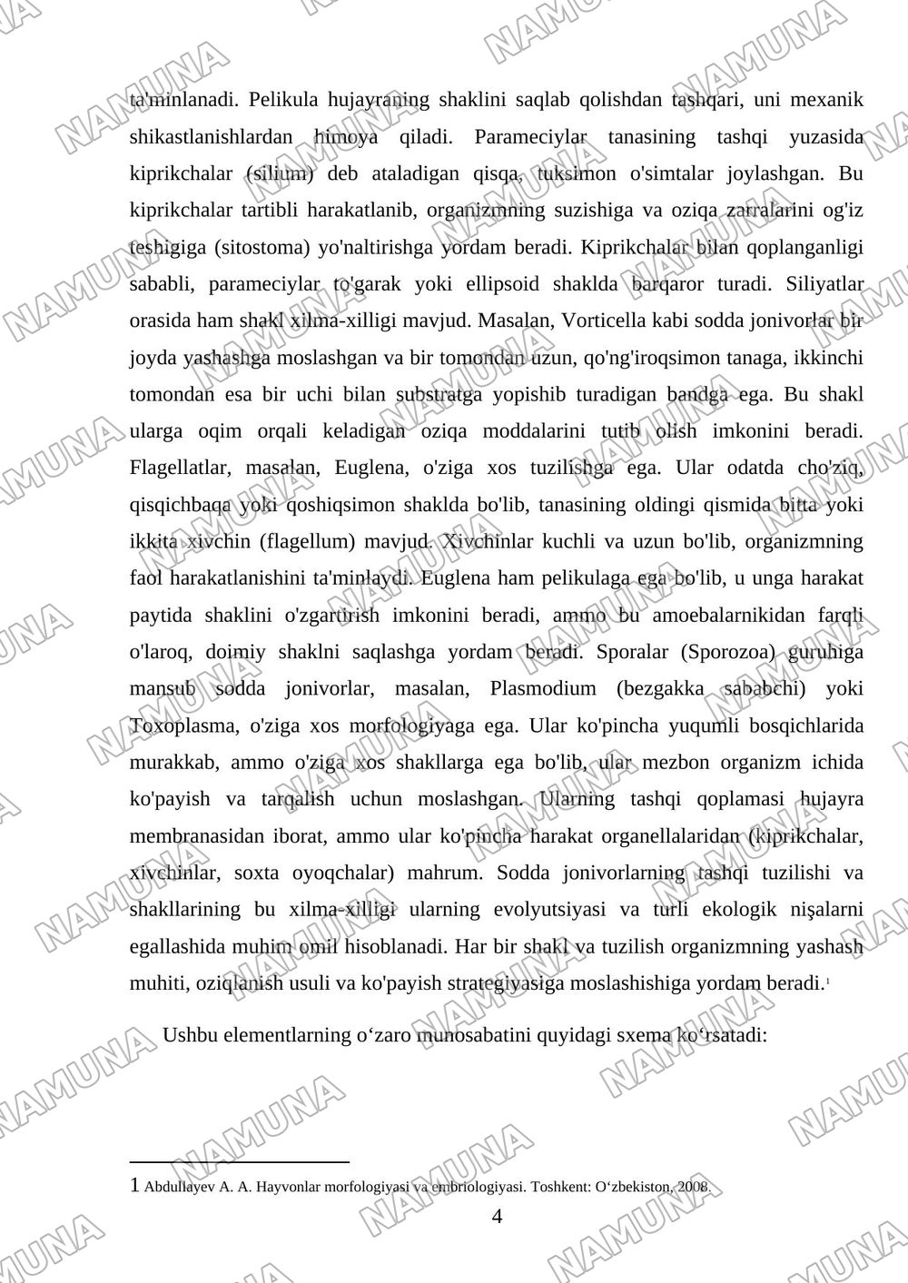 Sodda jonivorlar. Ularning morfologiyasi, strukturasi va ularni o’rganish usullari. — mustaqil ish, 4-varaq