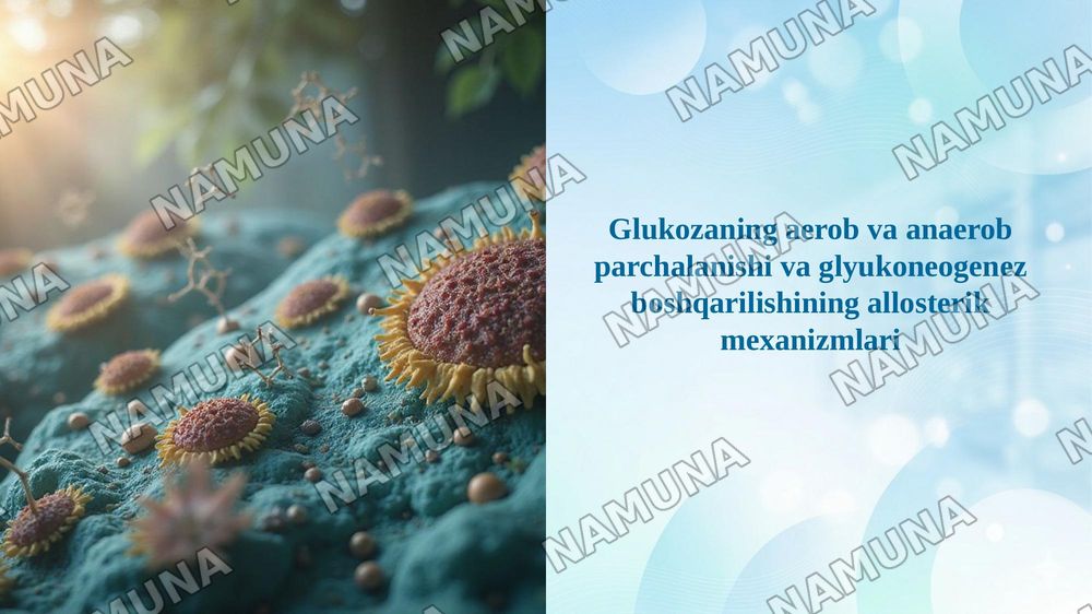 Glukozaning aerob va anaerob parchalanishi va glyukoneogenez boshqarilishining allosterik mexanizmlari — taqdimot, 1-slayd