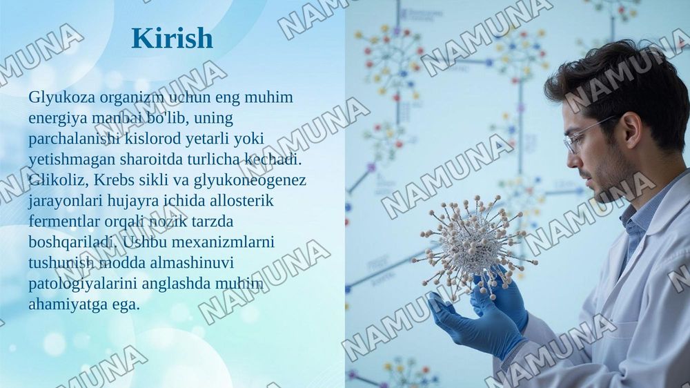 Glukozaning aerob va anaerob parchalanishi va glyukoneogenez boshqarilishining allosterik mexanizmlari — taqdimot, 3-slayd