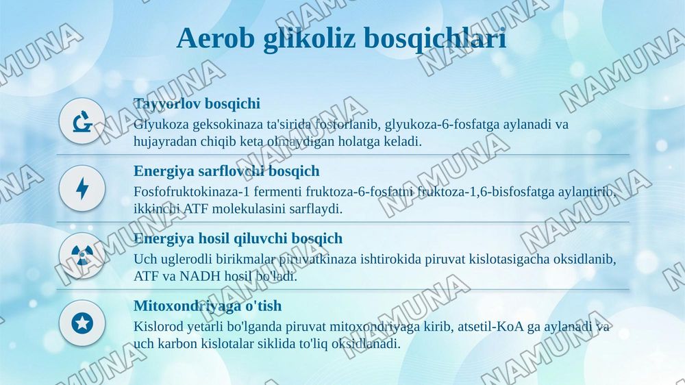 Glukozaning aerob va anaerob parchalanishi va glyukoneogenez boshqarilishining allosterik mexanizmlari — taqdimot, 5-slayd