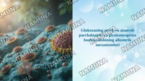 Glukozaning aerob va anaerob parchalanishi va glyukoneogenez boshqarilishining allosterik mexanizmlari — taqdimot