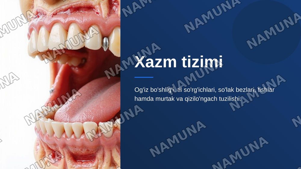 Xazm tizimi . Og'iz bo'shlig'i . Til tuzilishi so'rg'ichlari. So'lak bezlari tasnifi , tuzilishi .Tishlar. Tish tuzilishi va taraqqiyoti . Murtak va qizilo'ngach tuzilishi. — zamonaviy taqdimot, 1-slayd