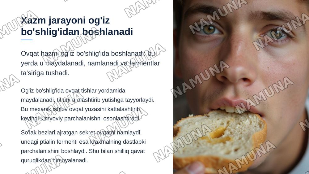 Xazm tizimi . Og'iz bo'shlig'i . Til tuzilishi so'rg'ichlari. So'lak bezlari tasnifi , tuzilishi .Tishlar. Tish tuzilishi va taraqqiyoti . Murtak va qizilo'ngach tuzilishi. — zamonaviy taqdimot, 3-slayd