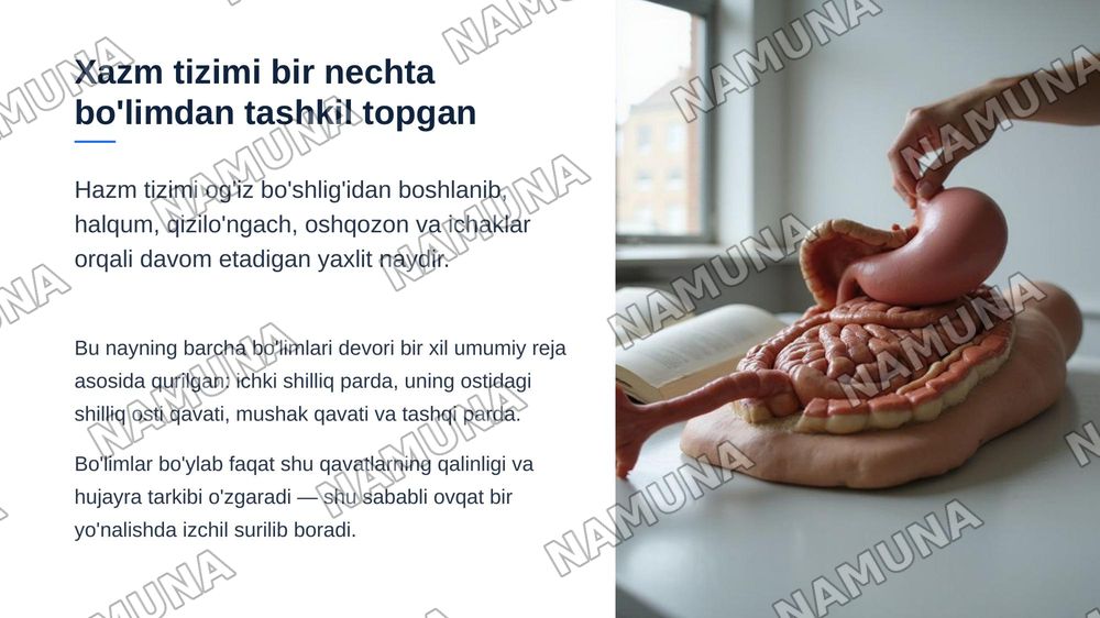 Xazm tizimi . Og'iz bo'shlig'i . Til tuzilishi so'rg'ichlari. So'lak bezlari tasnifi , tuzilishi .Tishlar. Tish tuzilishi va taraqqiyoti . Murtak va qizilo'ngach tuzilishi. — zamonaviy taqdimot, 4-slayd